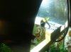 IMG_1179.jpg IMG_1179.jpg