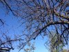 photo 5.jpg photo 5.jpg
