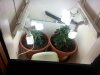 20130120_202328.jpg