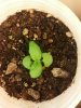 2013-01-21_00-55-14_698.jpg
