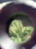 2013-01-21_00-49-21_650.jpg