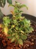 2013-01-21_00-32-18_17.jpg