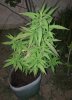 20121013_174336.jpg 20121013_174336.jpg
