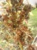 20130121_090031.jpg 20130121_090031.jpg