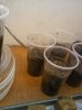 IMG_20121103_113336.jpg