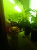 IMG_20121124_034828.jpg