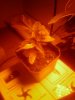 IMG_20121206_004429.jpg