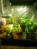 IMG_20121208_001626.jpg