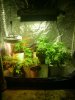 IMG_20121208_001633.jpg