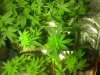 IMG_20121208_001650.jpg