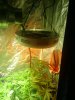 IMG_20121210_020708.jpg