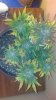 2013-01-21_16-21-48_657.jpg
