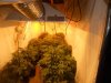 3000 watt raptor room 004.jpg