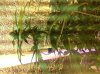 IMG_0854.jpg