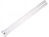 PL%2055w%20Compact%20Fluorescent.jpeg