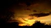 DSC_0042.jpg