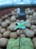 IMG_0784.jpg
