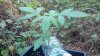 2013-01-23_08-43-28_560.jpg
