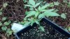 2013-01-21_15-43-53_182.jpg