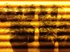 1358994243196.jpg