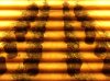 1358994331046.jpg