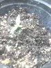 IMG_20130121_182246.jpg