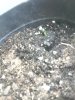 IMG_20130123_204659.jpg