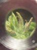 2013-01-23_22-44-53_957.jpg