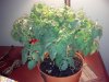 2013-01-23_23-58-47_282.jpg