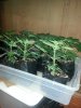 20130123_151828.jpg