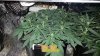 20130124_134908-picsay.jpg