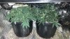 20130124_134919.jpg 20130124_134919.jpg