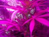 2013-01-24_17-30-39_75.jpg