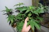 DSC_1085.jpg