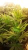 20130125_092245.jpg