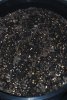DSC_0159-small.jpg DSC_0159-small.jpg