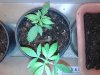 20130119_004308.jpg