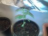 20130119_004352.jpg