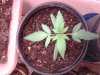 20130122_002827.jpg