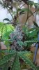 2013-01-27_20-28-21_124_cleaned.jpg