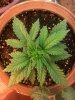 2013-01-28_10-06-53_11.jpg