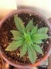 2013-01-28_10-06-43_973.jpg