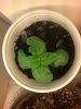 2013-01-28_10-06-28_908.jpg