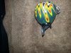20130123_180854.jpg