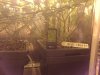 P_20130129_152110.jpg