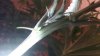100_0528.jpg