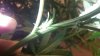 100_0529.jpg