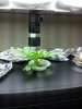 20130106_011524_resized.jpg