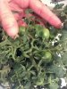 2013-01-31_22-57-38_809.jpg