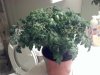 2013-01-31_22-56-29_638.jpg